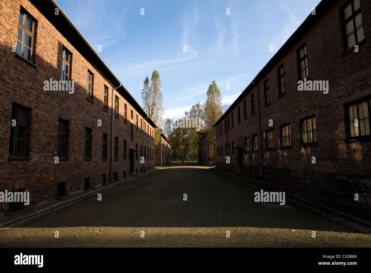 Auschwitz,, spinato barbwire, barrack, birkenau, edificio, camp, camera, concentrazione, morto, morte, profondità, est, elettrica, Foto Stock
