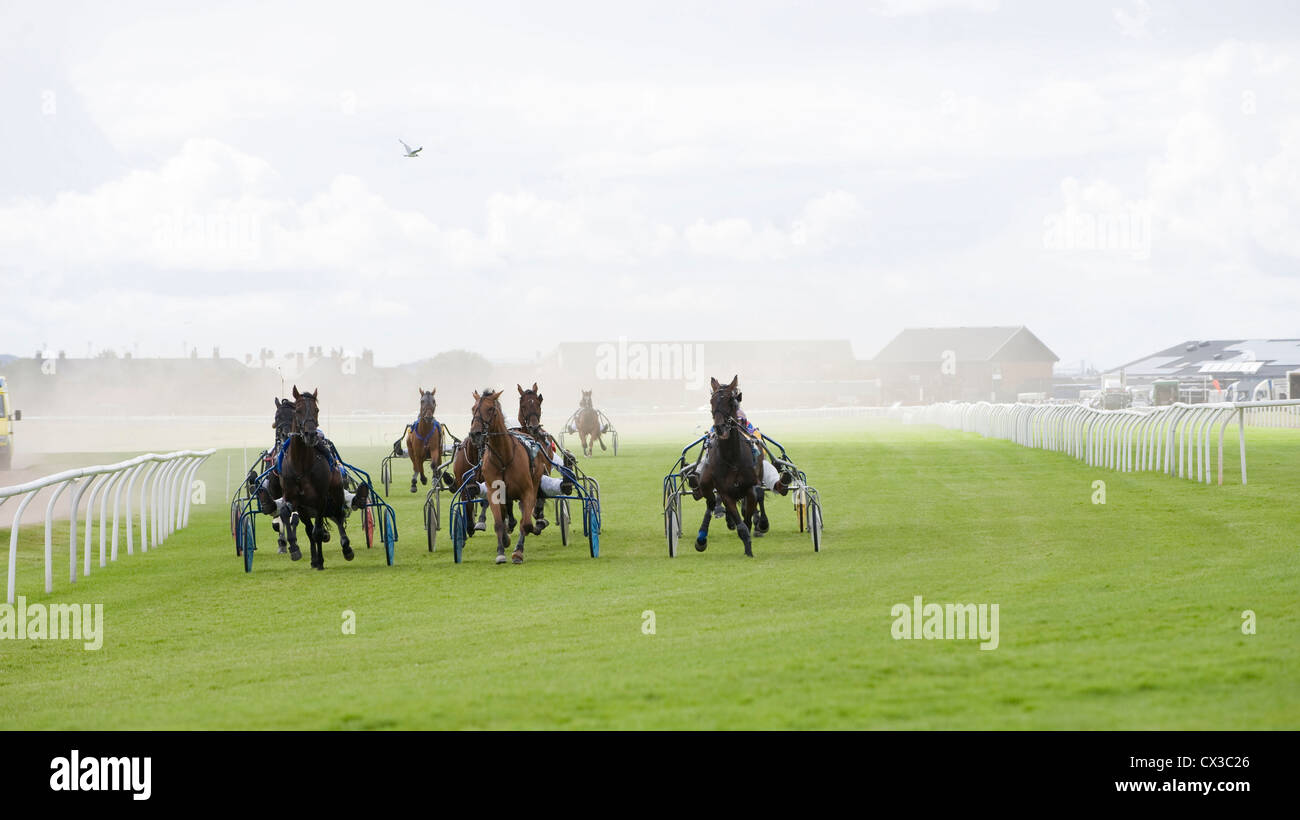 Cablaggio Racing a Musselburgh Racecourse. La Scozia. Foto Stock