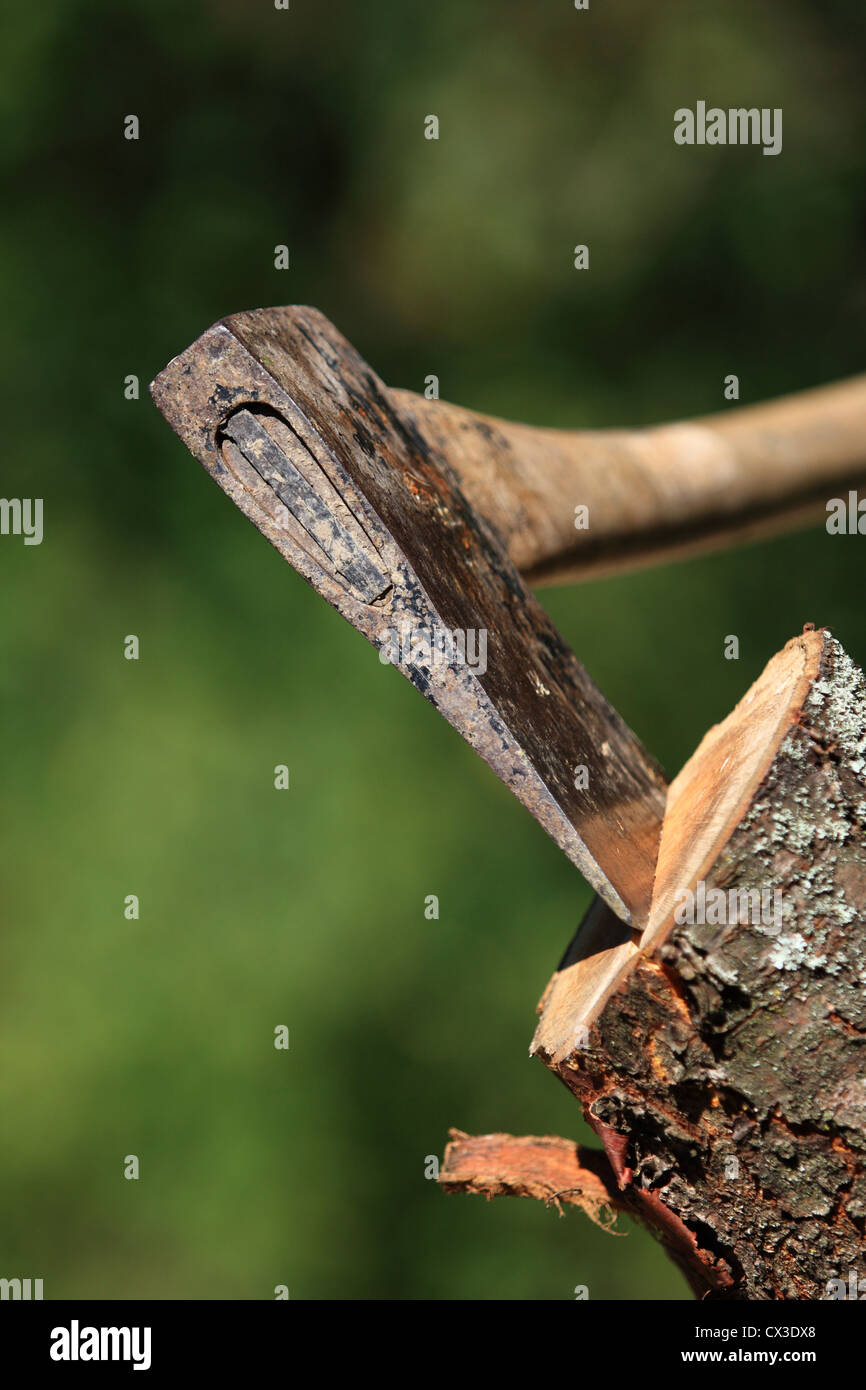 Un'ascia con testa è sepolto nella superficie di taglio di un tronco di albero Foto Stock