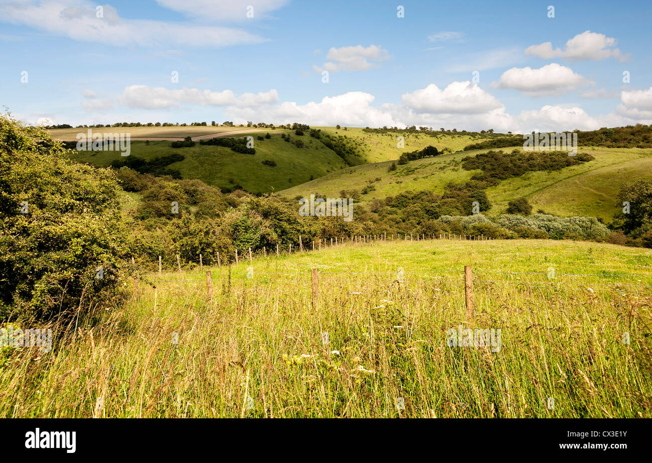 Una vista che domina Millington Pascoli, vicino al Vescovo Wilton in Yorkshire Wolds Foto Stock