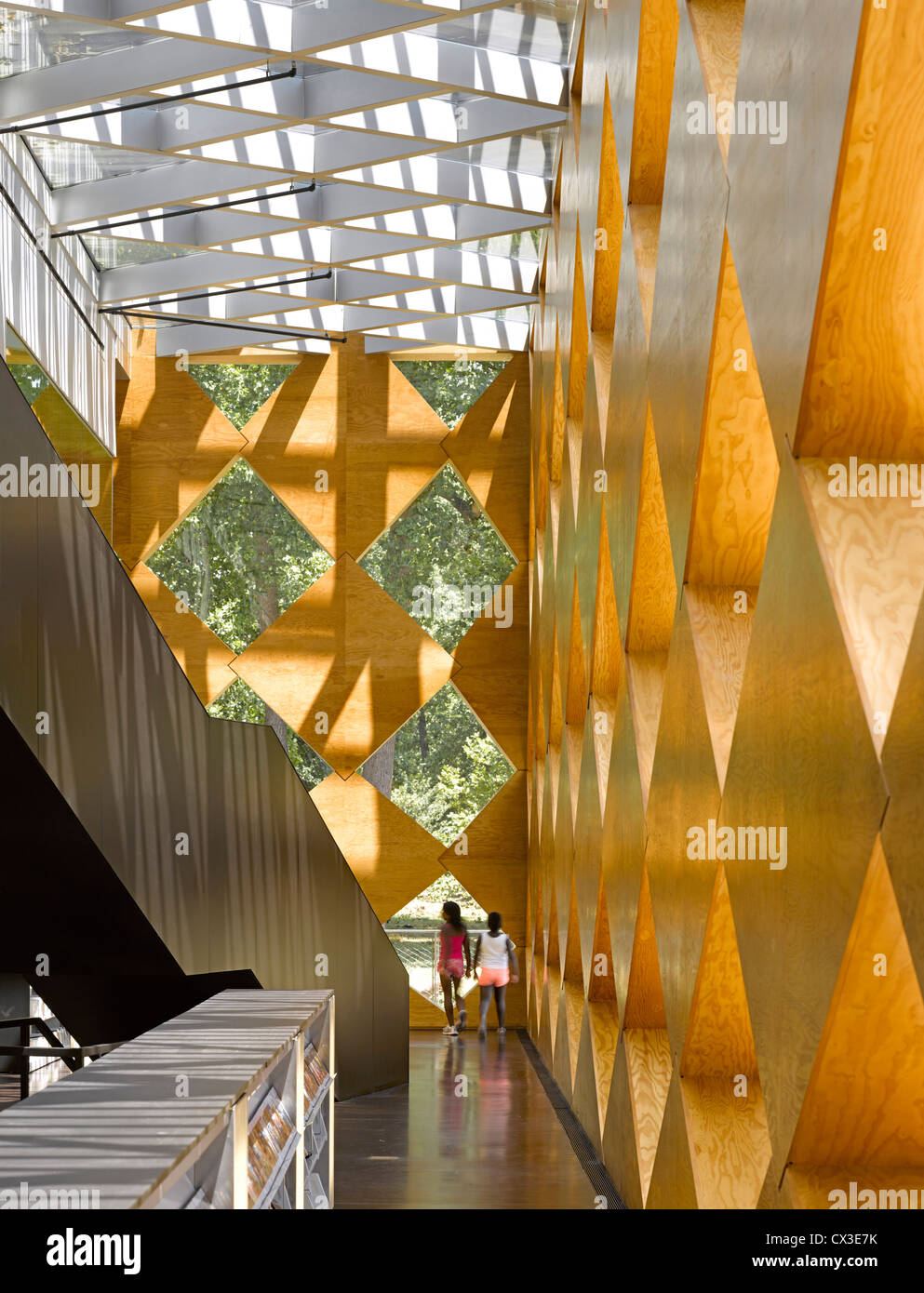 Il Francesco Di Gregorio biblioteca, Washington, Stati Uniti. Architetto: Adjaye Associates, 2012. Nel complesso vista interna sul livello inferiore Foto Stock