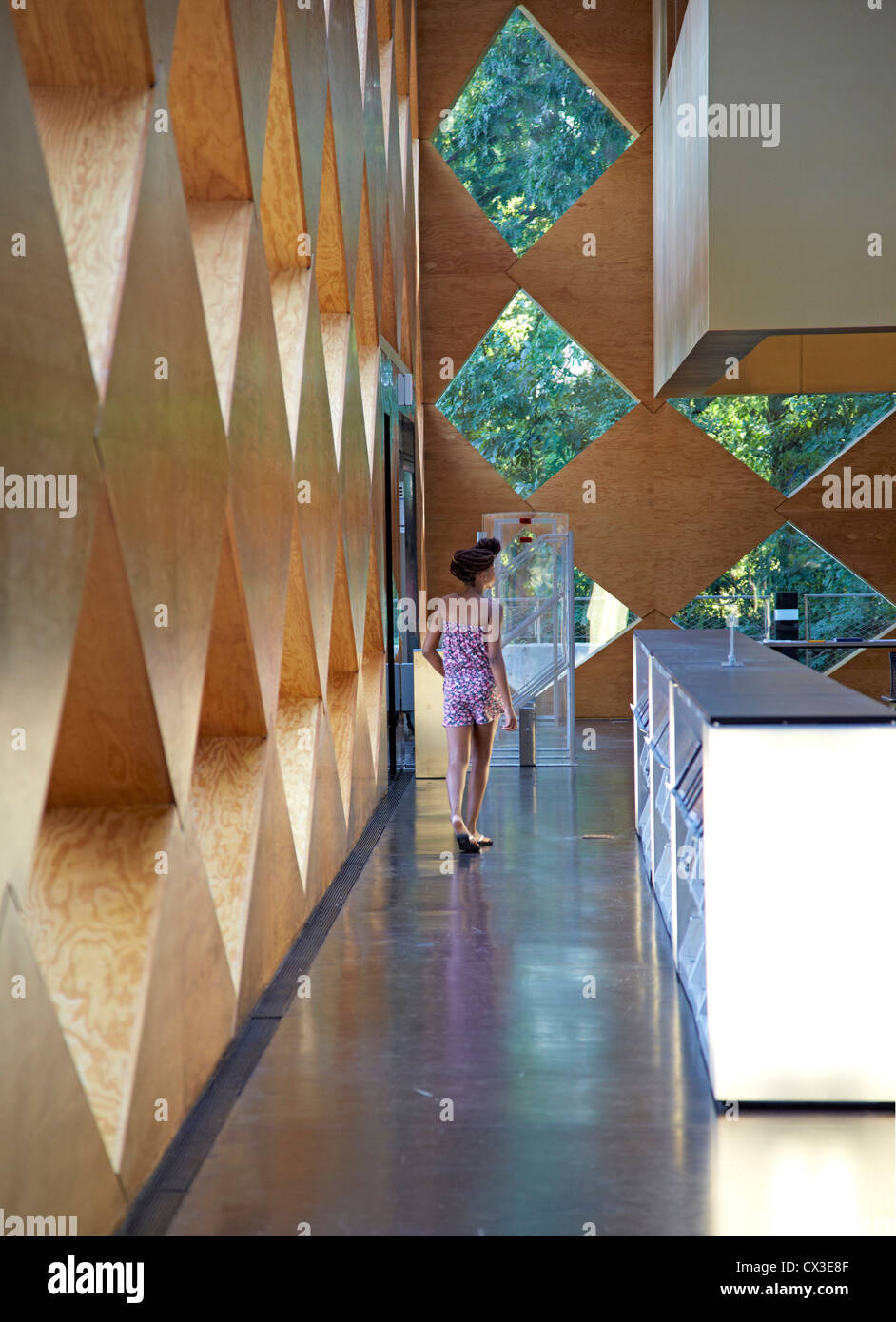 Il Francesco Di Gregorio biblioteca, Washington, Stati Uniti. Architetto: Adjaye Associates, 2012. Nel complesso vista interna sul livello inferiore Foto Stock