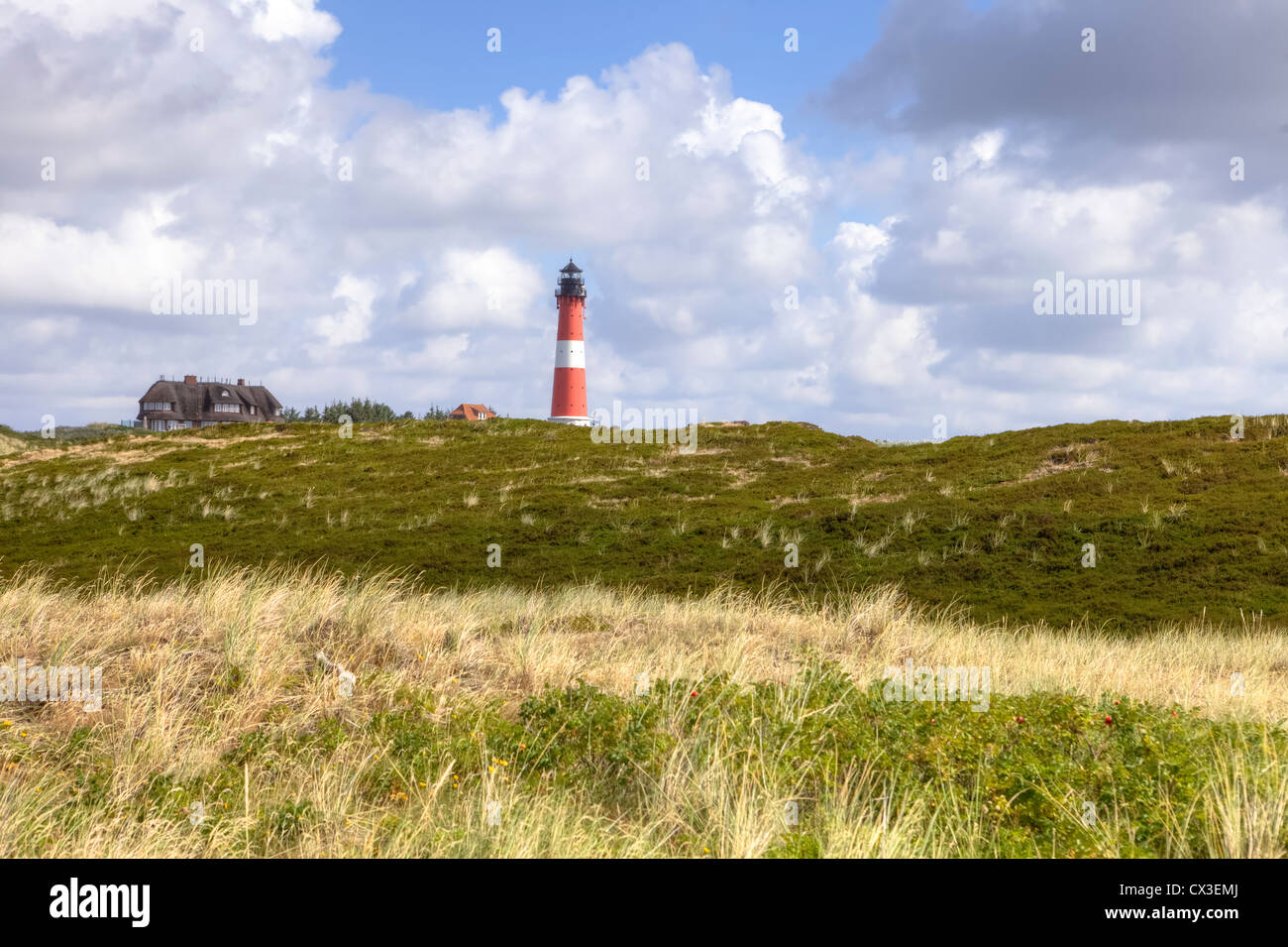 Frisone case, Hoernum, Sylt, Schleswig-Holstein, Germania Foto Stock