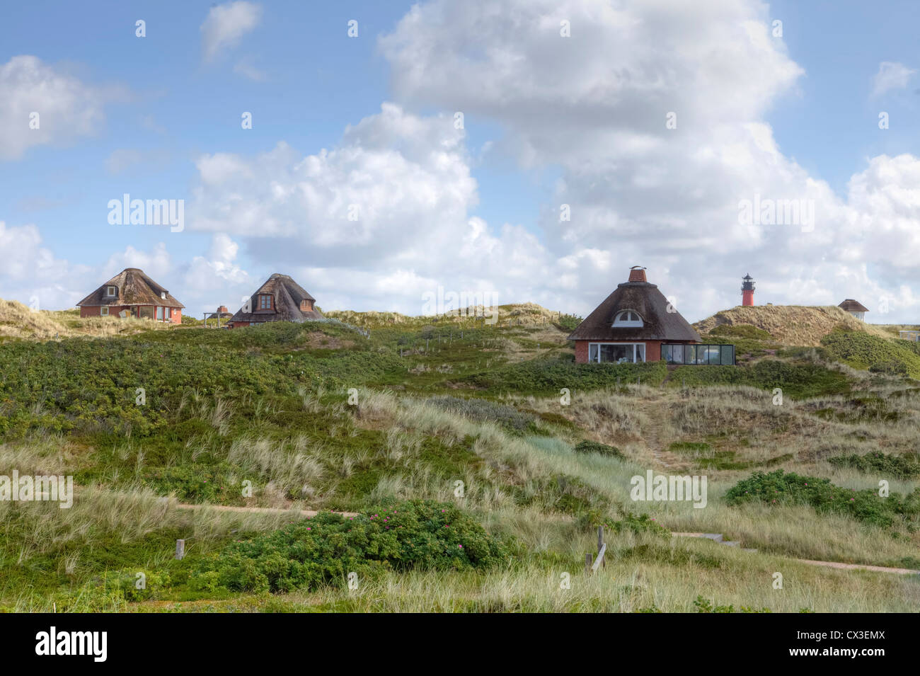 Frisone case, Hoernum, Sylt, Schleswig-Holstein, Germania Foto Stock