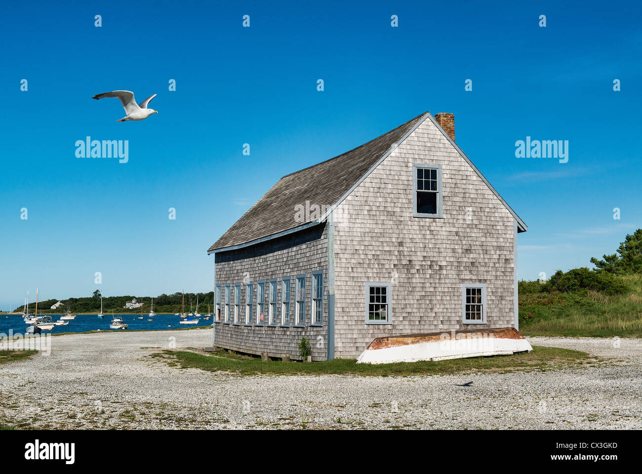 Boat House, porto di Chatham, Cape Cod, Massachusetts, STATI UNITI D'AMERICA Foto Stock