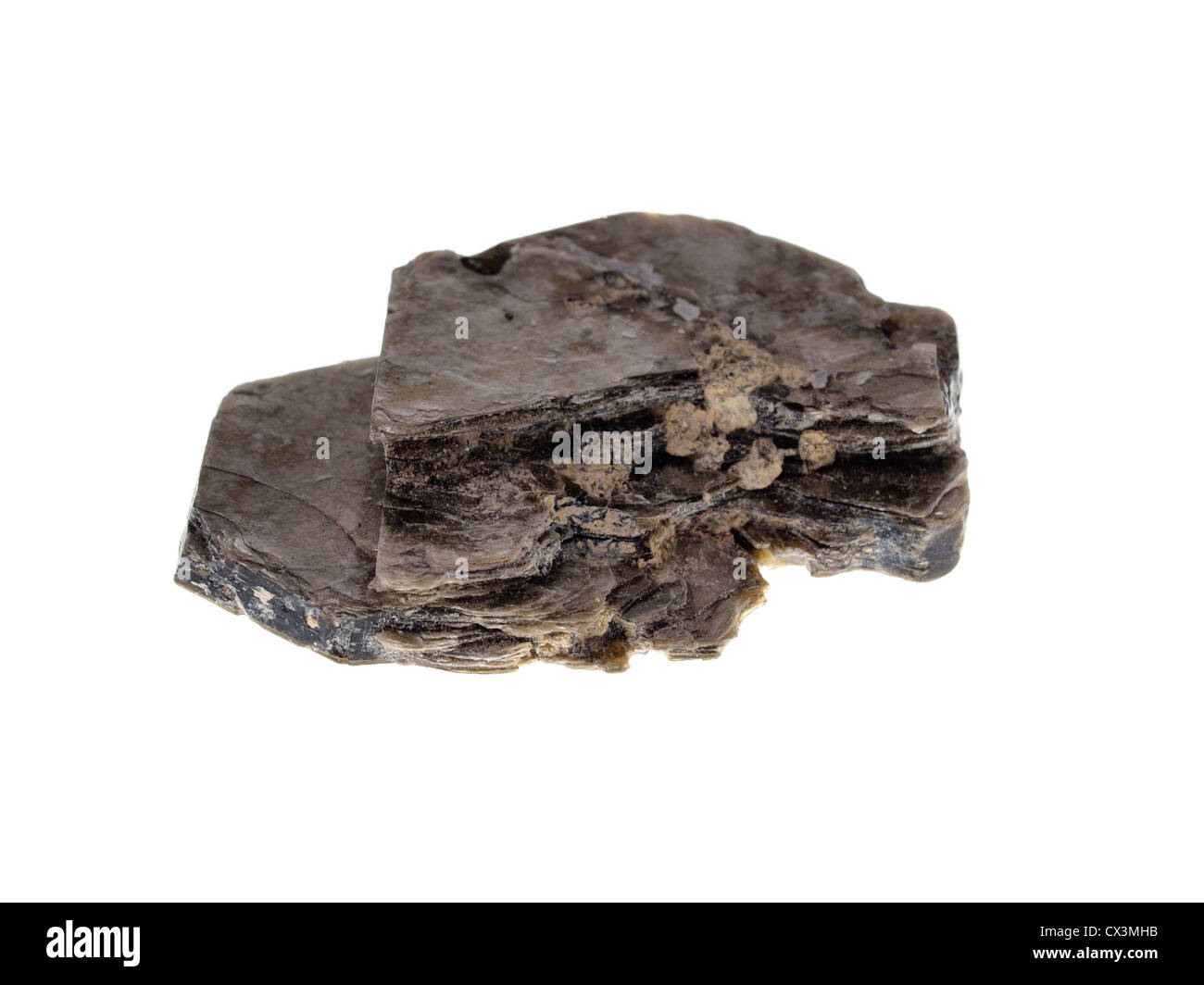 Biotite. Origine: Madagascar Foto Stock