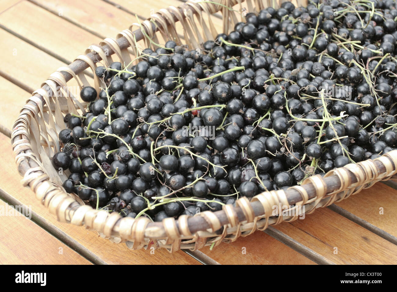 More sul carrello Foto Stock