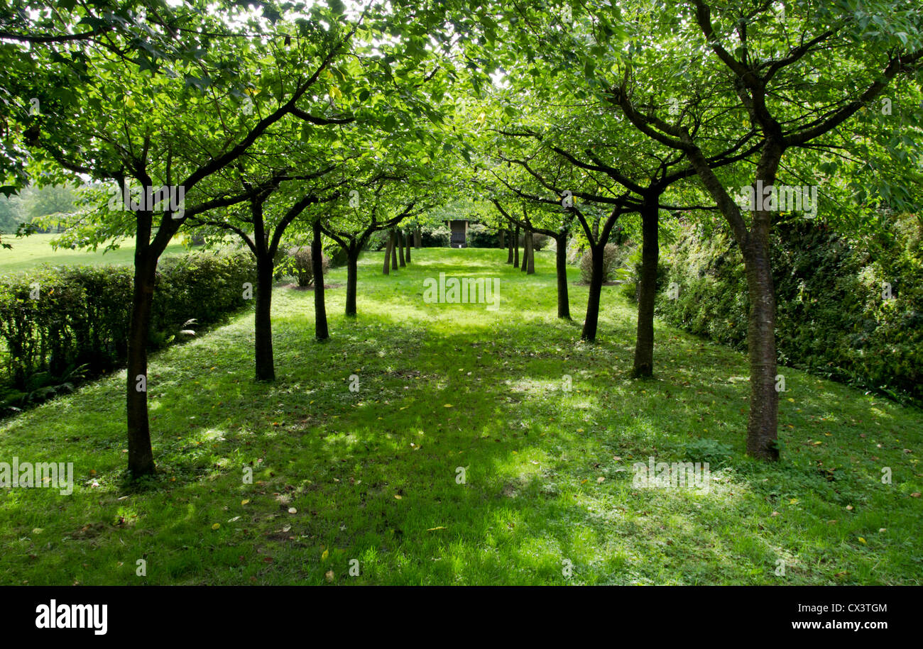 Composizione orizzontale. Vicolo di albero in un tradizionale giardino britannico. giardino verde, estate scena Park a piedi Foto Stock