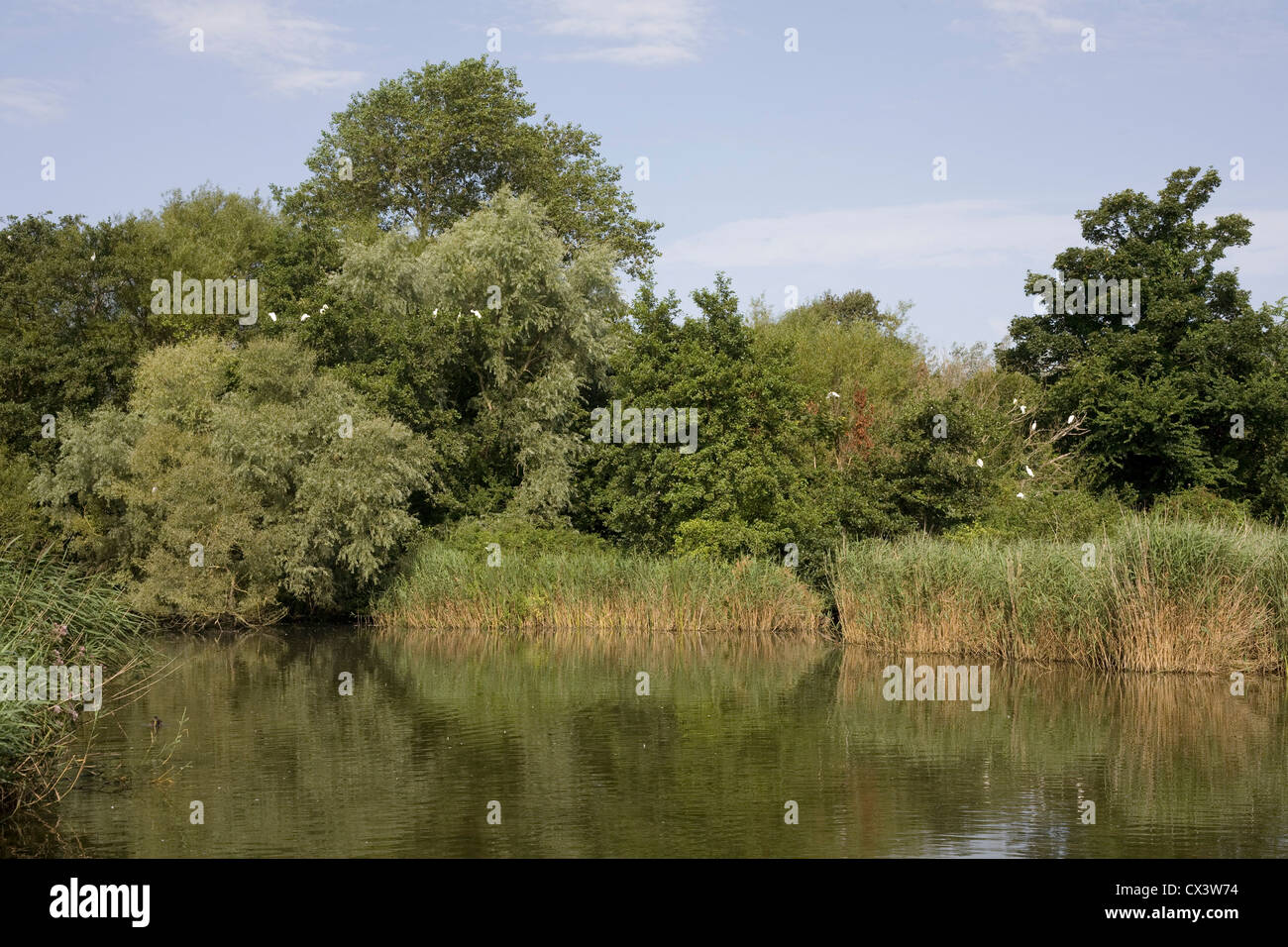 Il Mill Pond a Langstone, in una zona di straordinaria bellezza naturale Foto Stock