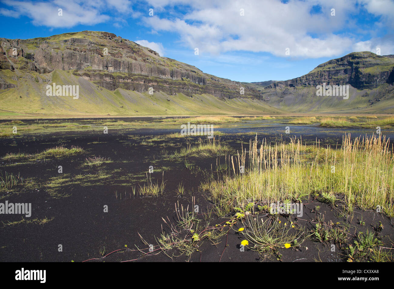 Nero terreno vulcanico con vegetazione rada, sud Islanda Foto Stock
