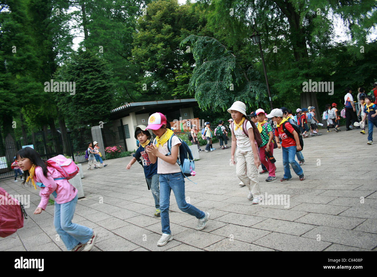 Scuola giapponese i bambini in gita a uno zoo di Tokyo in Giappone. Foto Stock