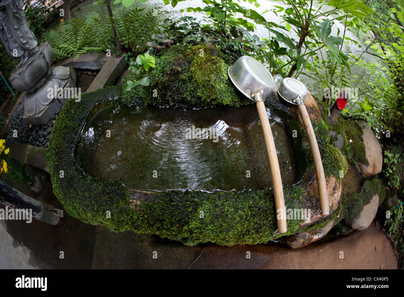 Tempio buddista in Tokyo, acqua per la benedizione e la preghiera - bacino coperto di muschio. Foto Stock