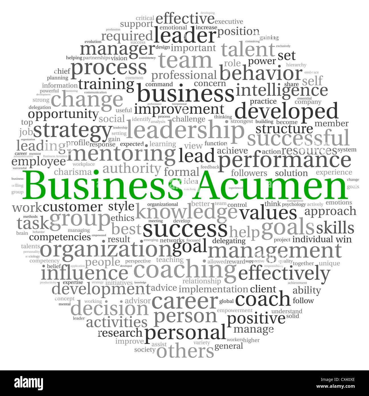 Business Acumen concetto in parola tag cloud su sfondo bianco Foto Stock