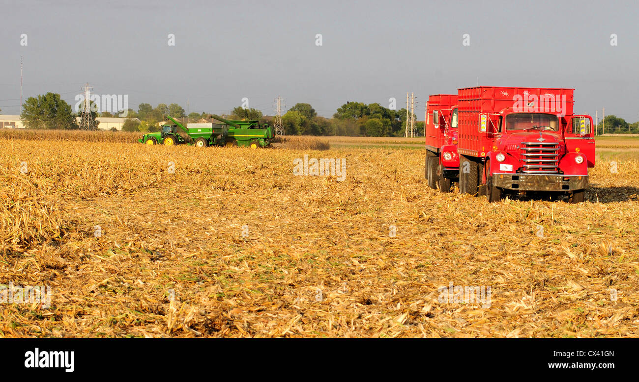 Raccolta del mais con una mietitrebbia John Deere e il trattore tira il carro del grano e alleggerendo il grano per un diamante T carrello antichi Foto Stock