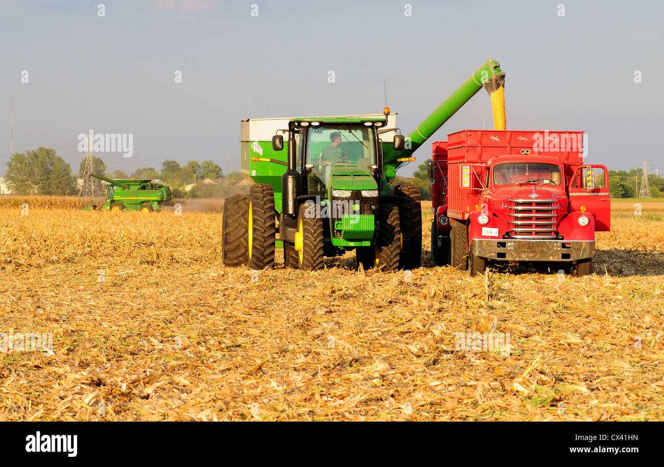 Raccolta del mais con una mietitrebbia John Deere e il trattore tira il carro del grano e alleggerendo il grano per un diamante T carrello antichi Foto Stock
