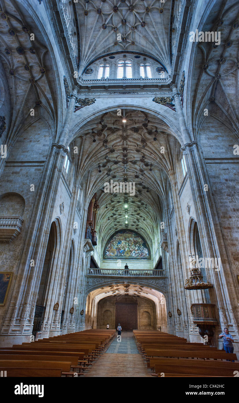 La Catedral Nueva, o la nuova Cattedrale, a Salamanca, Spagna, risale al XVI secolo ed è costruita in stile tardo gotico Foto Stock