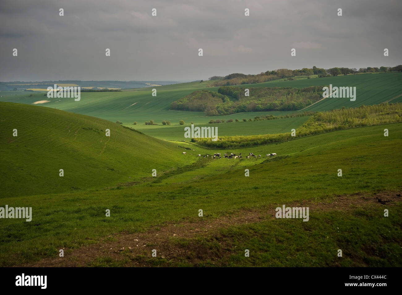 Vista dalla Ridgeway distanza lungo il percorso nei pressi di Liddington Hill, Wiltshire, Regno Unito Foto Stock