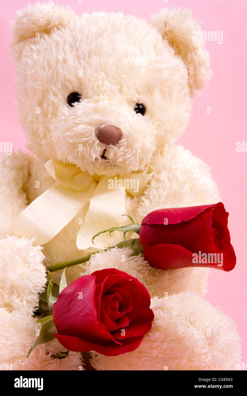 Concetto di san valentino - Un bellissimo orso con due rose rosse