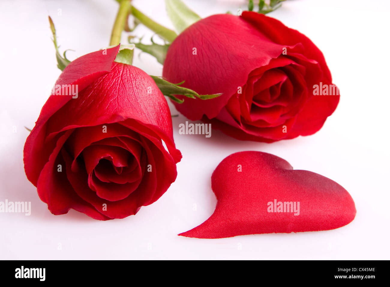 Featured image of post Sfondi Rose Rosse Bellissime