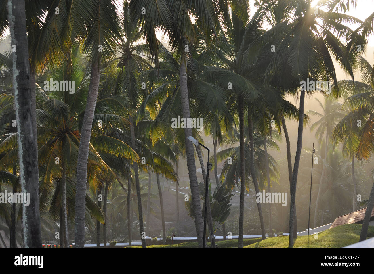 Sun rise a Kovalam Kerala India Foto Stock