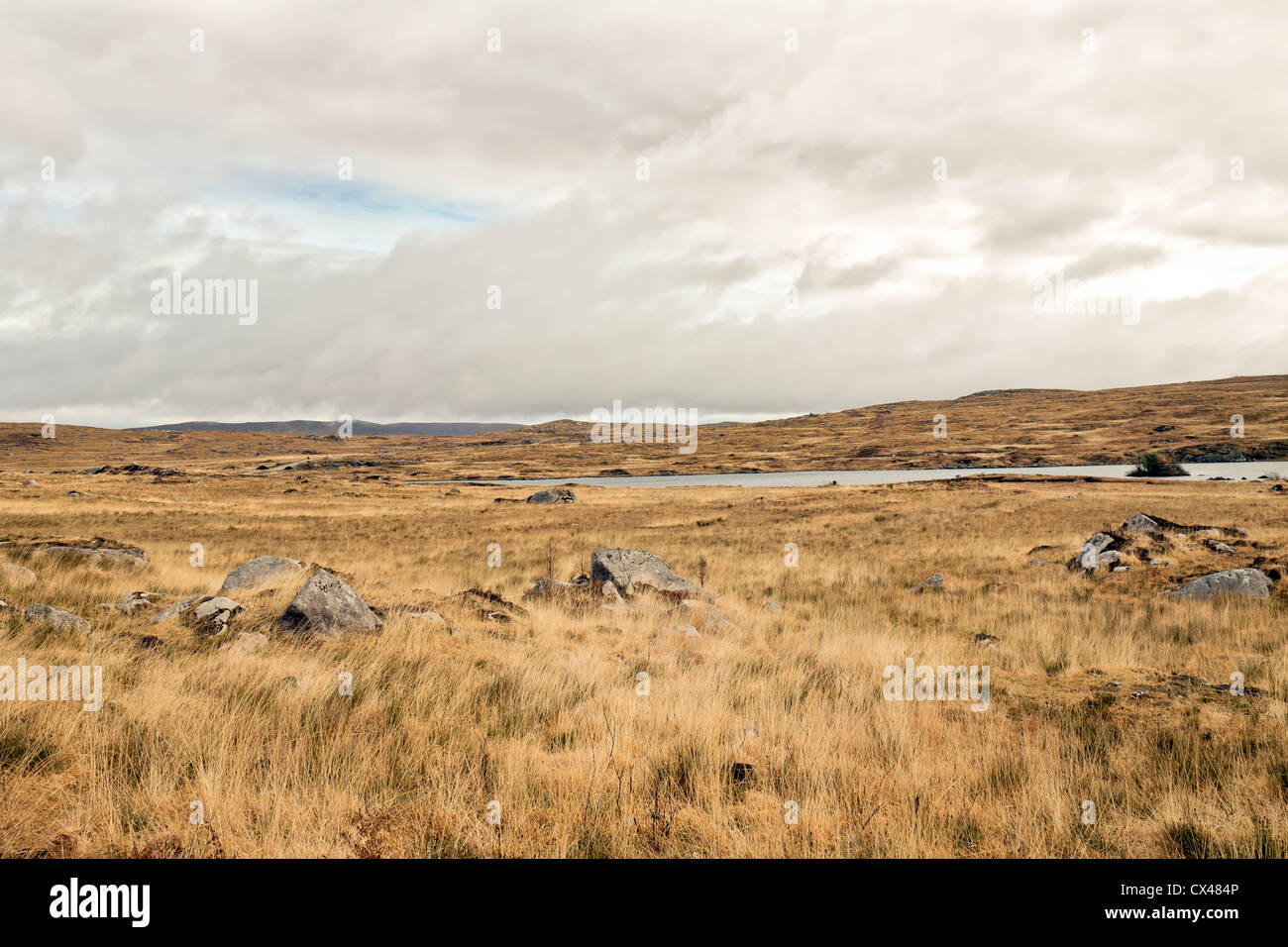 Paesaggio secco sul modo per Connemara, nella contea di Galway in Irlanda Foto Stock