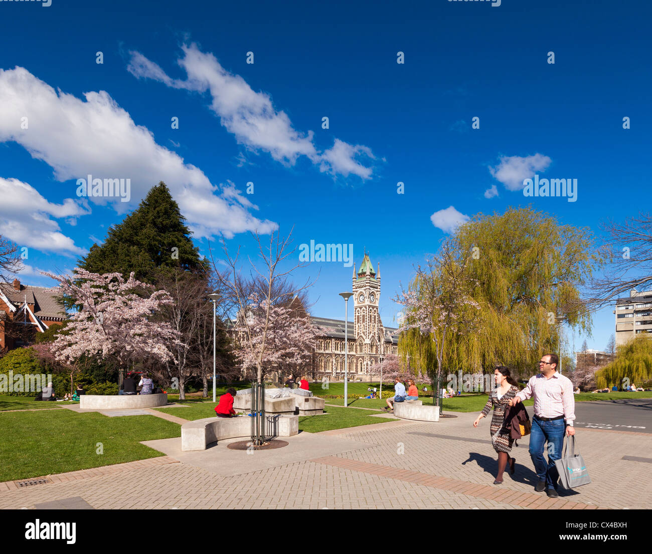 Università di Otago Campus, con la storica Torre dell Orologio edificio del Registro di sistema e la primavera sbocciano i fiori. Foto Stock