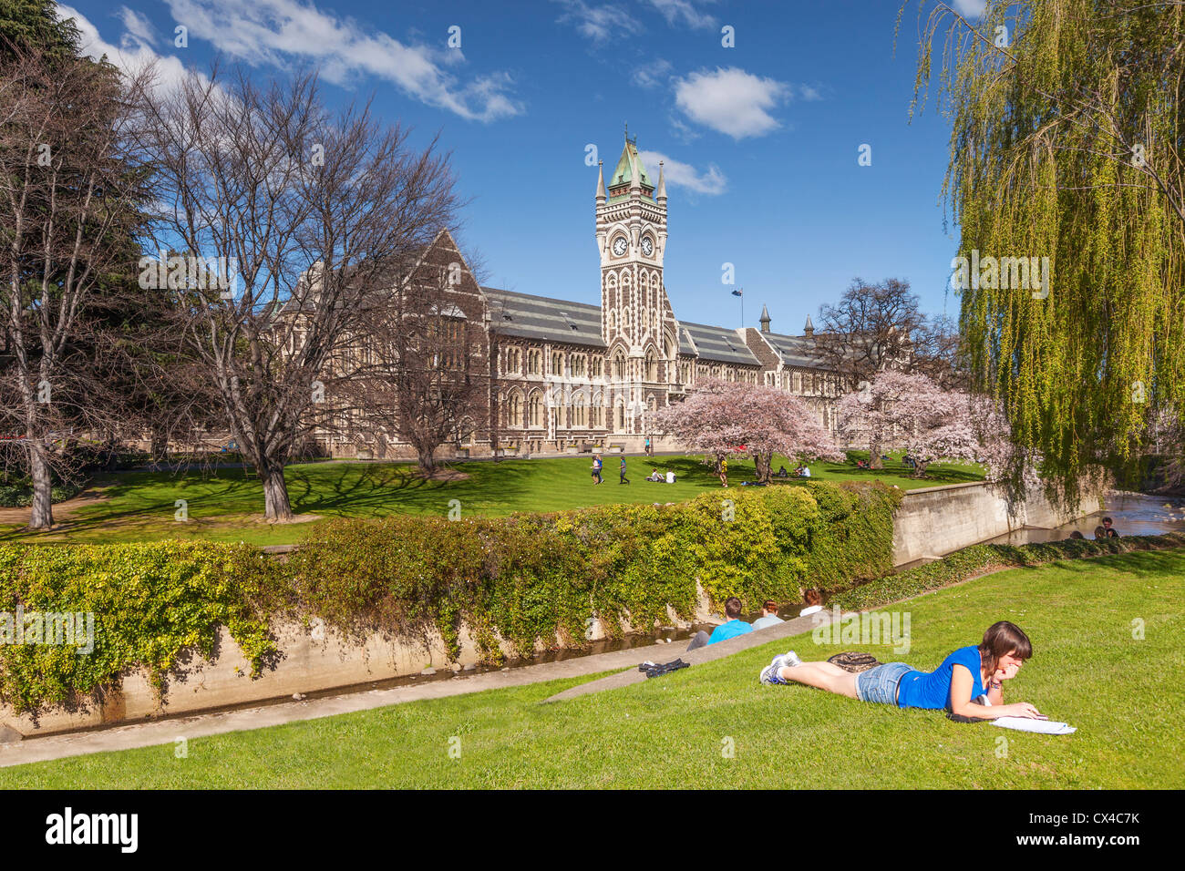 Università di Otago Campus, con la storica Torre dell Orologio edificio del Registro di sistema e la primavera sbocciano i fiori. Studentessa sdraiati sull'erba. Foto Stock