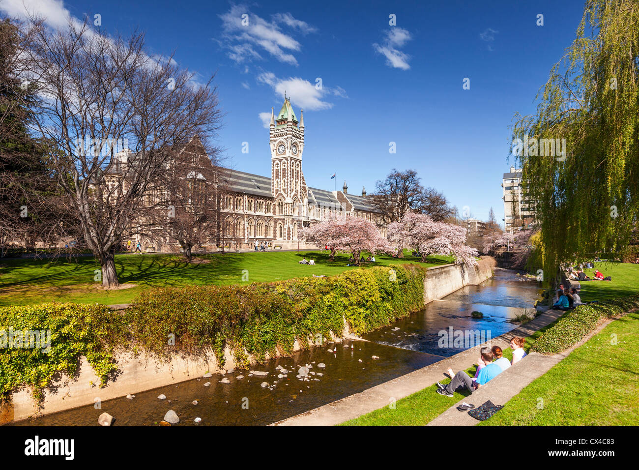 Università di Otago Campus, con la storica Torre dell Orologio edificio del Registro di sistema e la primavera sbocciano i fiori. Foto Stock