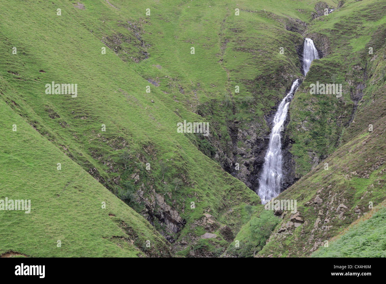 Grigio Mare cascata, Moffat Dale, Dumfries and Galloway, Scotland, Regno Unito Foto Stock