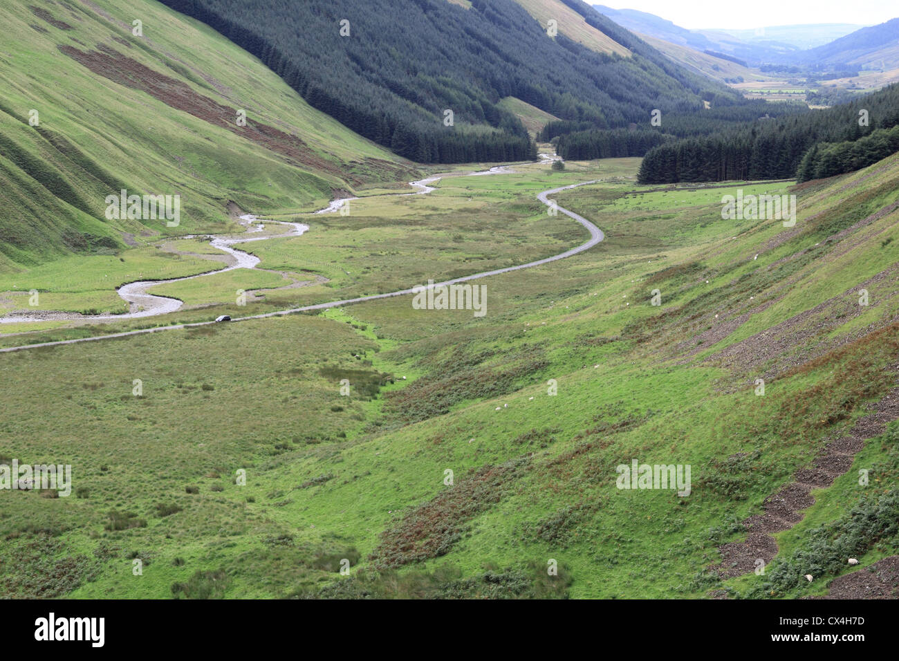 Moffat Dale Glen con acqua a Moffat, Dumfries and Galloway, Scotland, Regno Unito Foto Stock