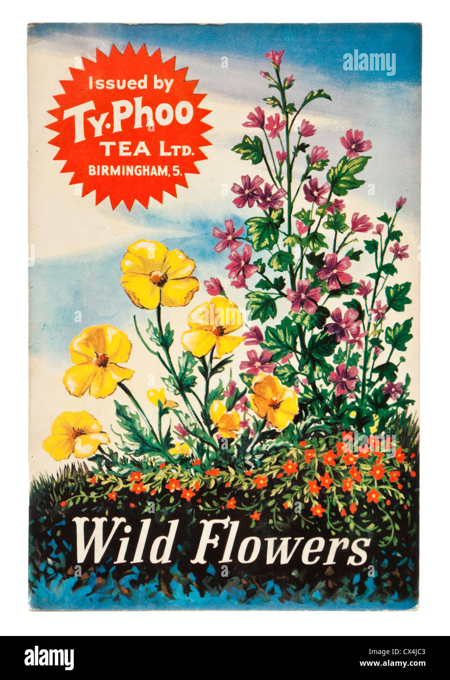 Vintage 'fiori' Ty-Phoo Tea Ltd picture card album Foto Stock