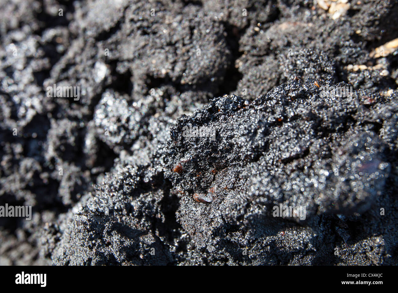 Tar sands depositi. Il tar sands sono il più grande progetto industriale del pianeta e di tutto il mondo più nociva per l'ambiente. L'olio sintetico prodotto da loro è 3 volte più intenso di carbonio rispetto a quelli convenzionali di forniture di petrolio, un disastro per il clima. Essi sono responsabili per il secondo tempo più veloce tasso di deforestazione del pianeta. Seconda solo alla foresta amazzonica. Essi producono milioni di litri di altamente inquinata acqua ogni giorno che si infiltra nel fiume Athabasca e ha gravi ripercussioni per la salute su prima nazione i popoli che vivono a valle. Foto Stock