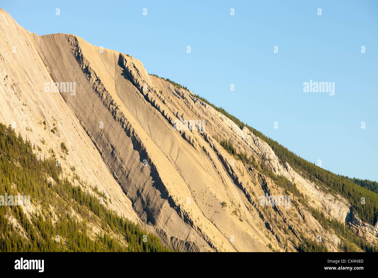 Biancheria da letto di roccia piani esposta su un picco nel Queen Elizabeth gamma mountians, nei pressi di Jasper, Canadian Rockies. Foto Stock