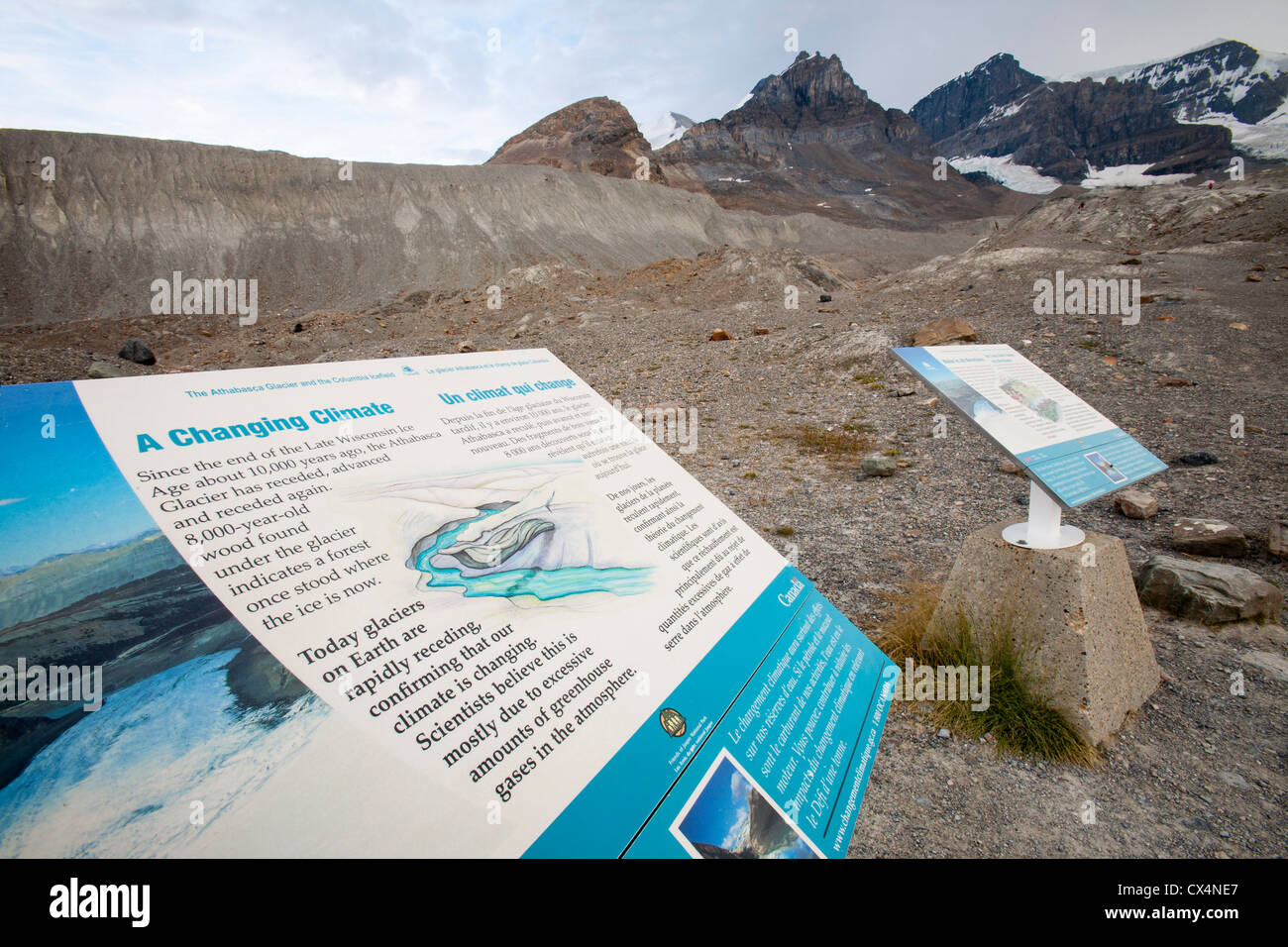 Il Ghiacciaio Athabasca sta svanendo in modo estremamente rapido e ha perso oltre il 60% della sua massa di ghiaccio in meno di 150 anni. Foto Stock
