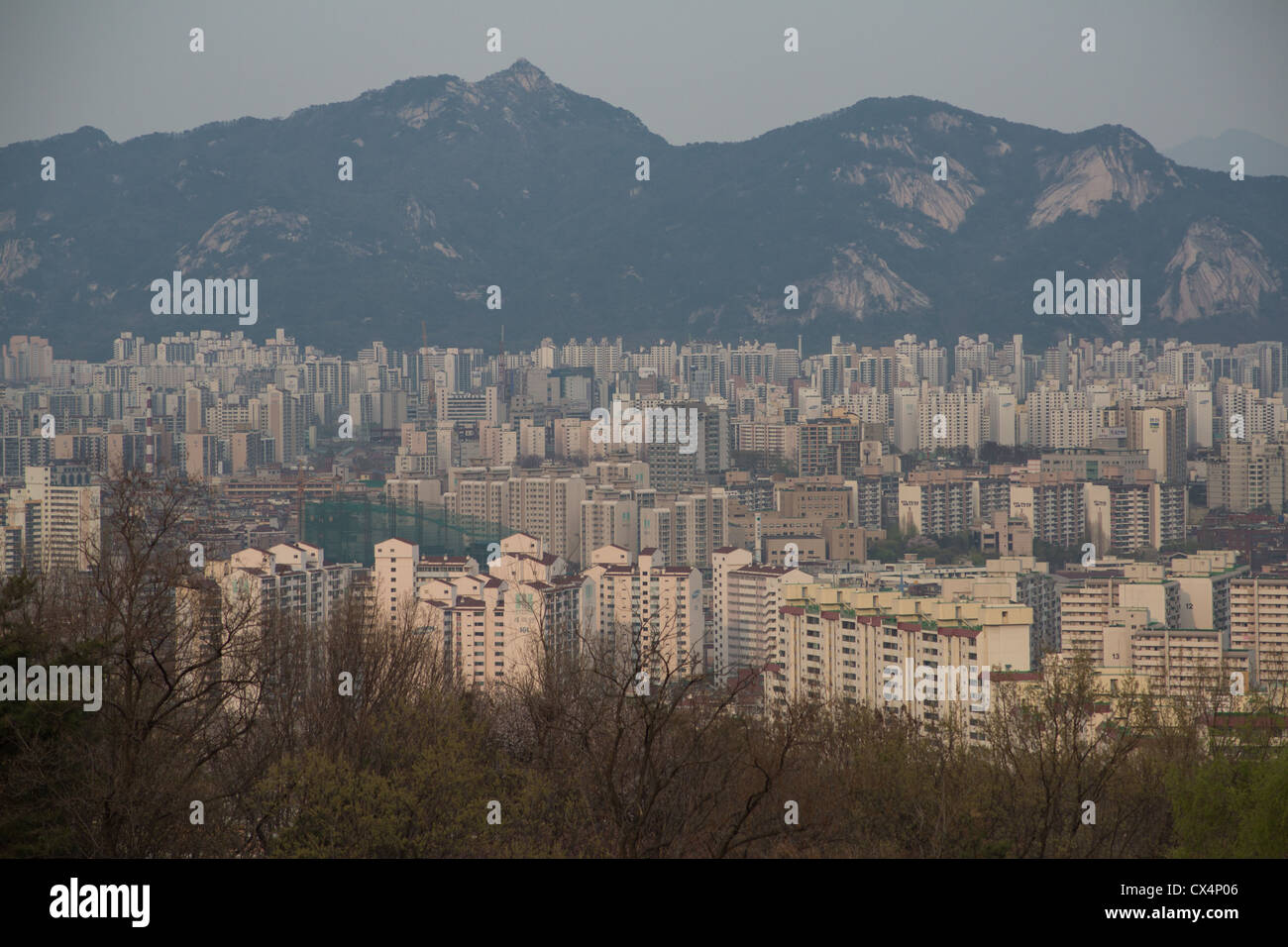 Centinaia di alta edifici di appartamenti ammassati vicino alle montagne di Seoul, Corea del Sud Foto Stock