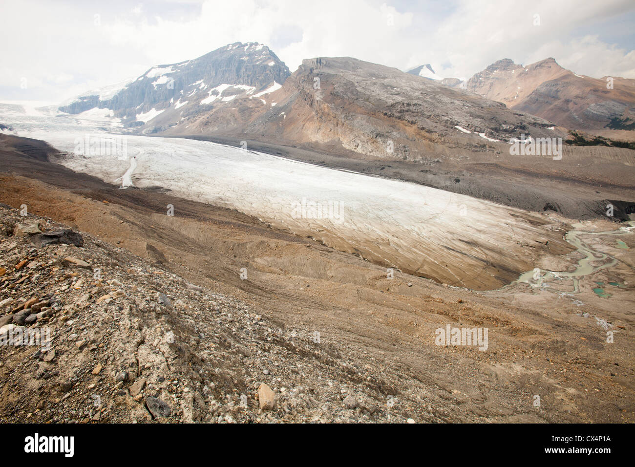 Morena laterale che mostra il tasso di ritiro del Ghiacciaio Athabasca. Essa sta svanendo in modo estremamente rapido e ha perso oltre il 60% Foto Stock