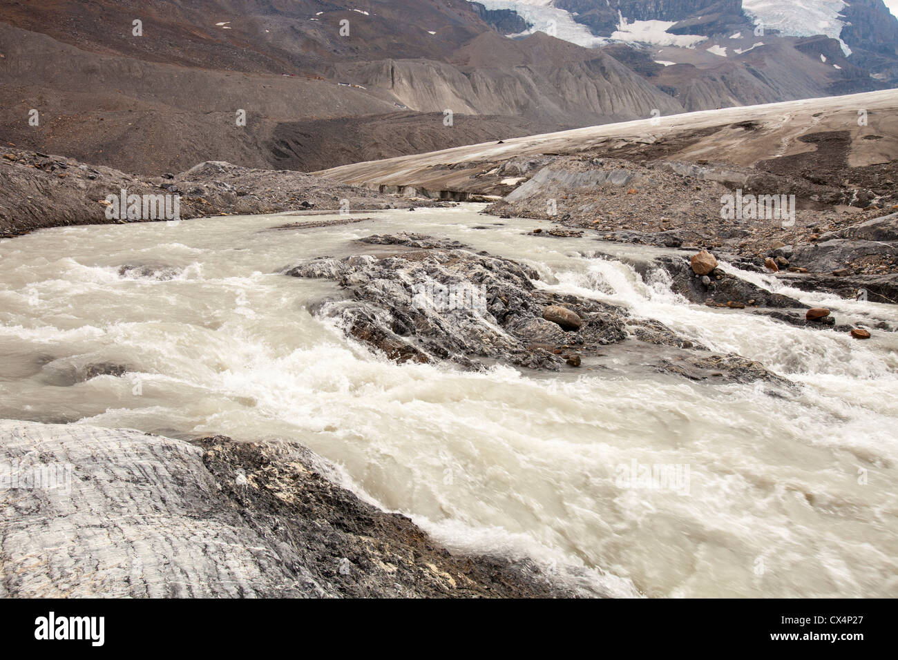 Acqua di disgelo al muso del Ghiacciaio Athabasca che sta svanendo in modo estremamente rapido e ha perso oltre il 60% della sua massa di ghiaccio Foto Stock