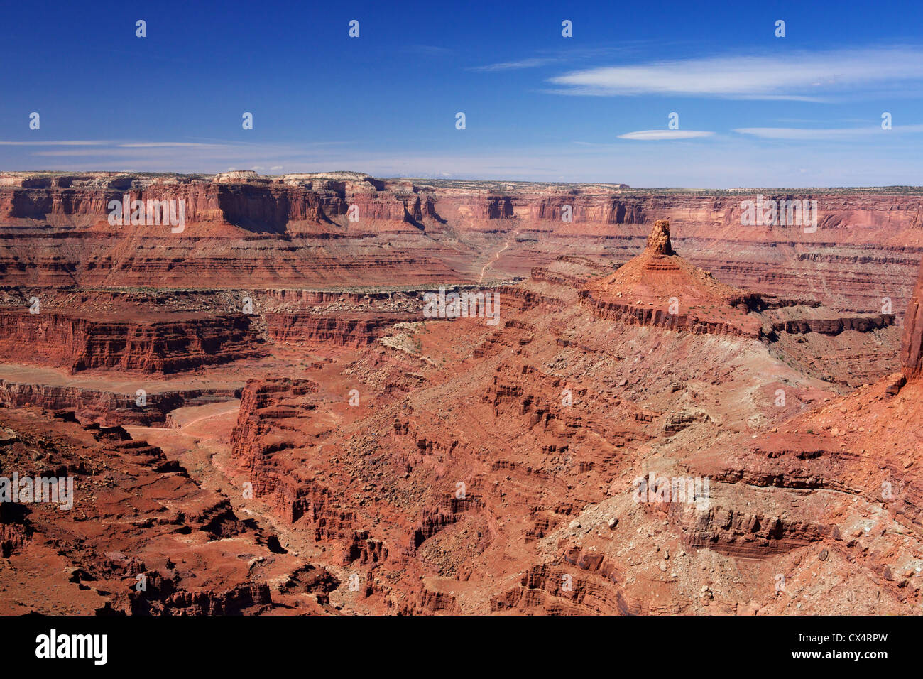 Vista guardando in Dead Horse Canyon con cielo blu Foto Stock