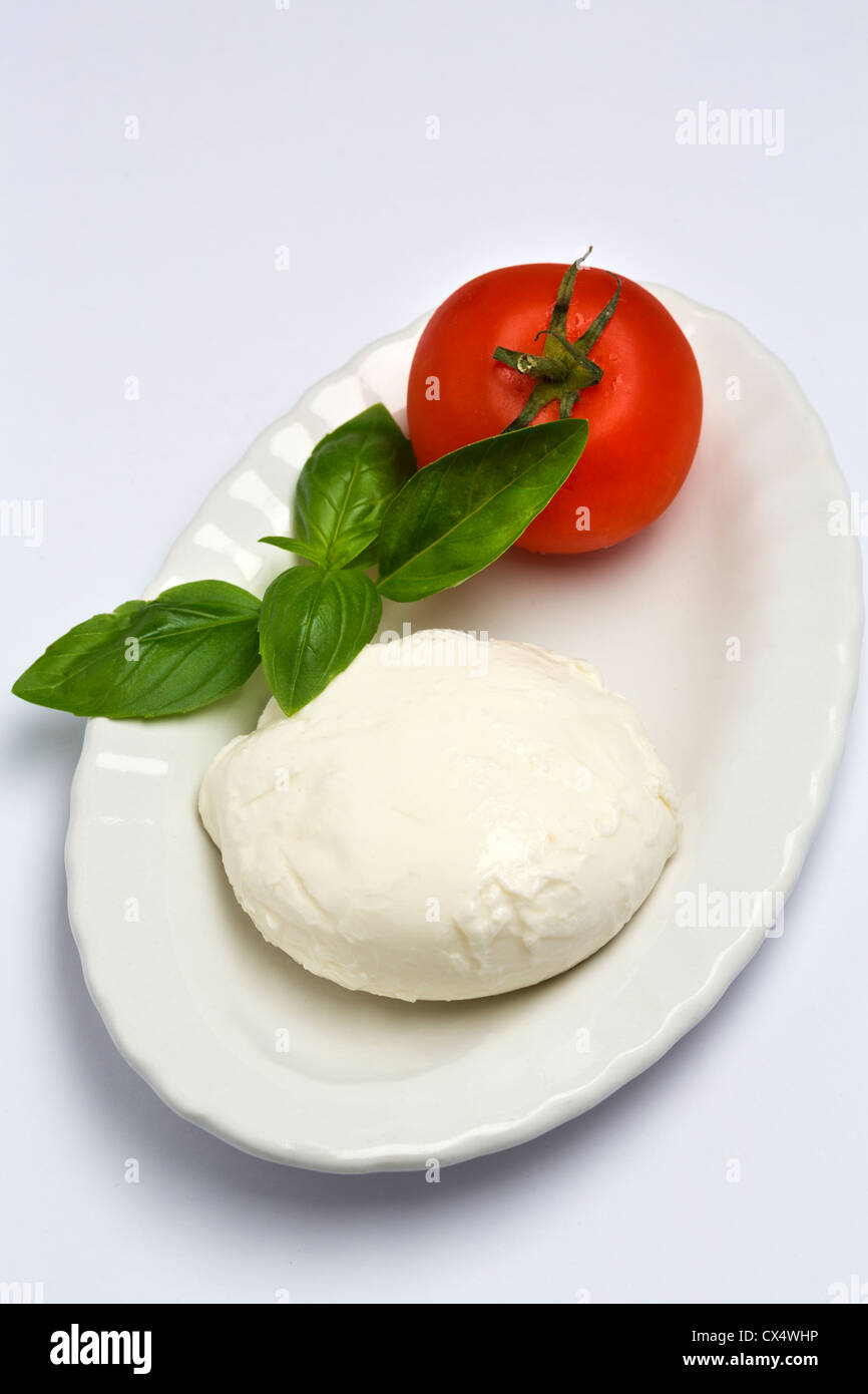 Mozzarella di bufala su un piatto bianco con un pomodoro Foto Stock