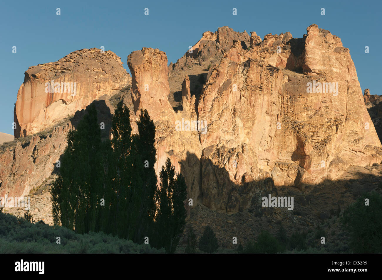 Tufo vulcanico guglie, Leslie Gulch Recreation Area, Area di fondamentale interesse ambientale del Bureau of Land Management, Owyhee di Foto Stock