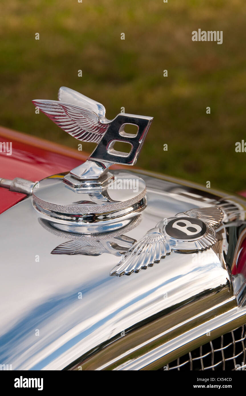 Adesivo Emblema 3D In Metallo Per Aston Martin Cygnet | Copri Logo Per Cofano E Bagagliaio | Accessorio Styling Impermeabile