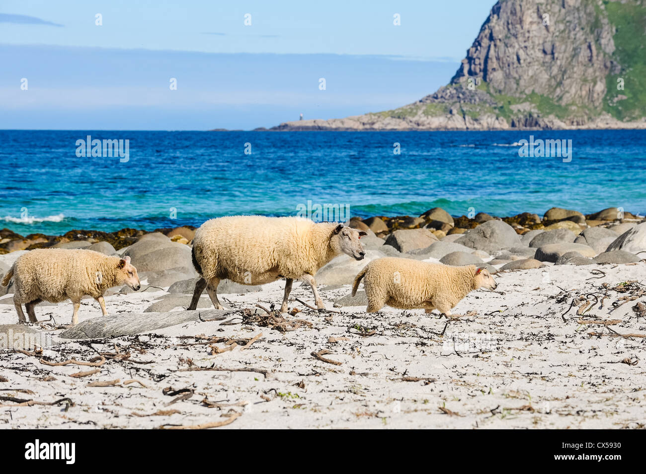 Norvegia, Nordland, Lofoten. Uttakleiv su Vestvågøy Foto Stock