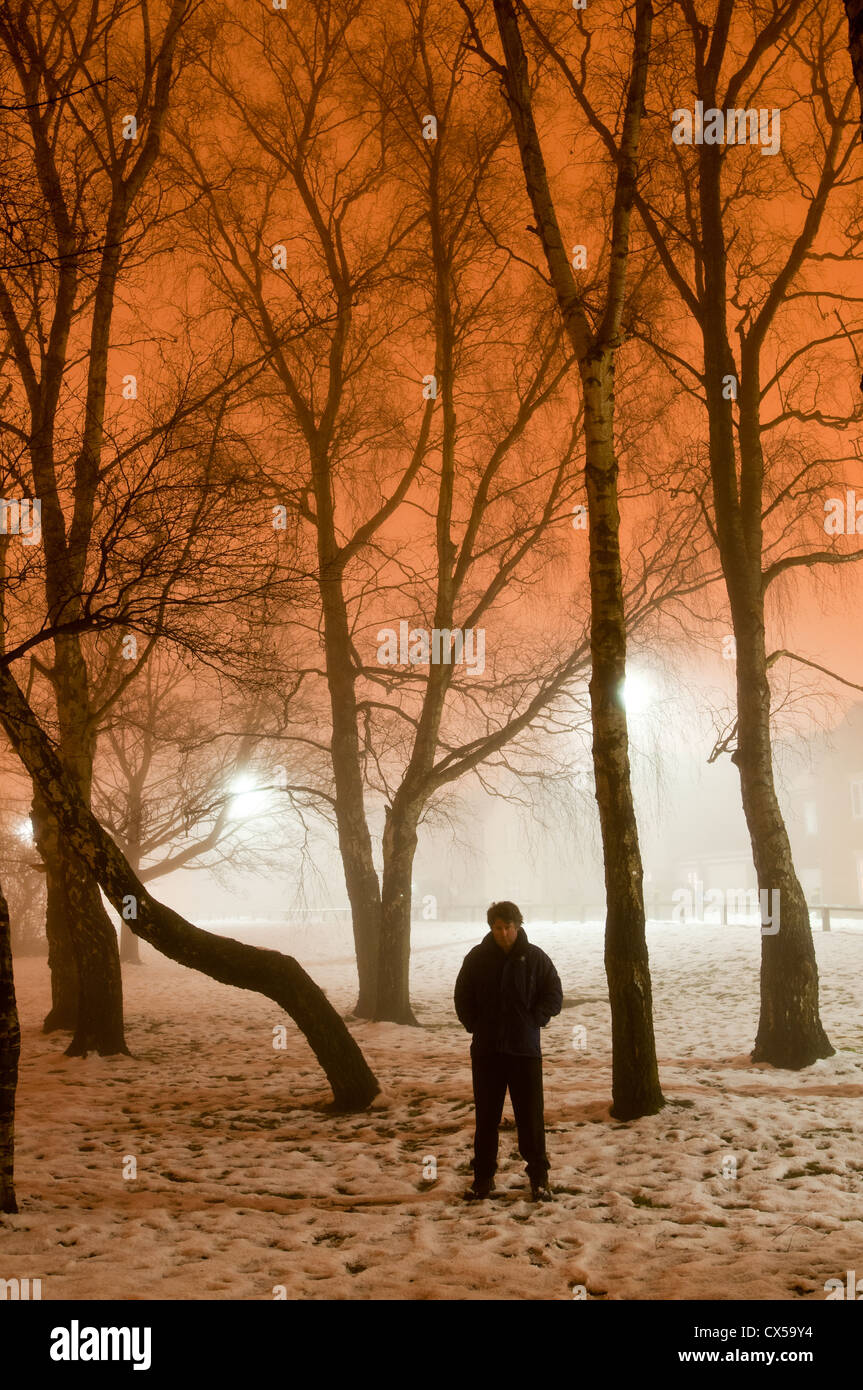 Nebbia invernale con alberi di notte, Biggin Hill, Kent, England, Regno Unito, Europa Foto Stock