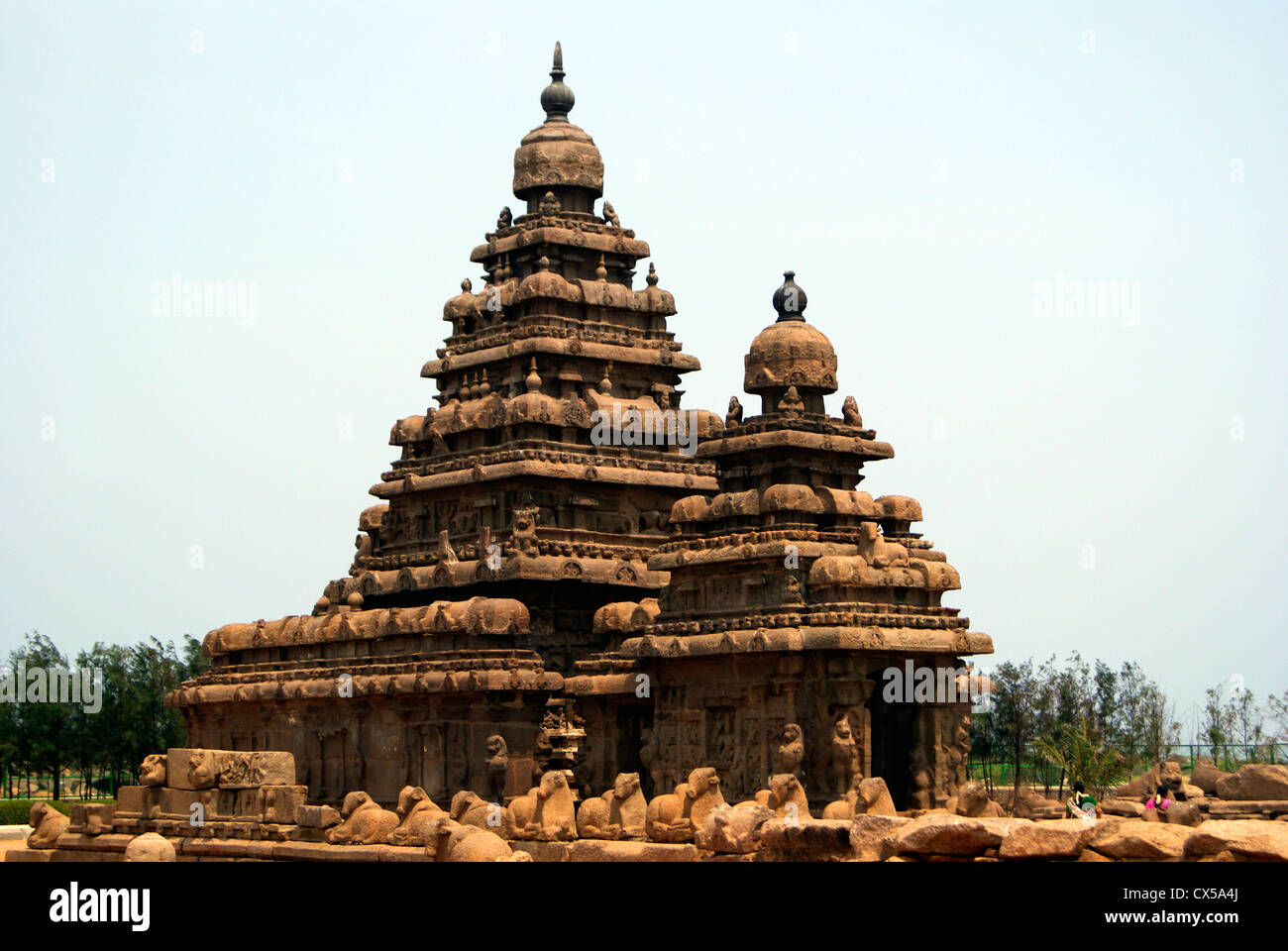 Tempio Shore Mahabalipuram meraviglia architettonica in antichi templi strutturali architettura in pietra e l'UNESCO - Sito Patrimonio dell India Foto Stock