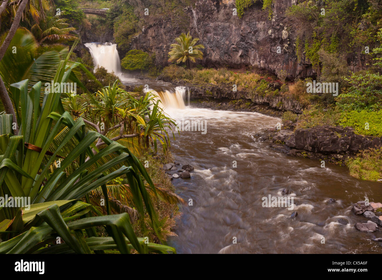 Nord America, USA< Hawaii Maui, Haleakala National Park, 'Ohe"o Gulch, sette piscine Sacra Foto Stock
