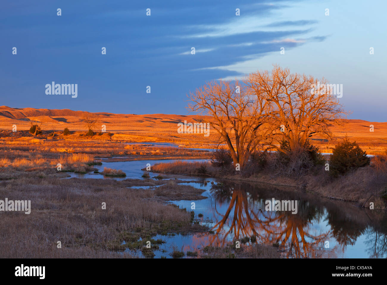 Immersi nella luce del tramonto di Calamus nel fiume Loup County, Nebraska, STATI UNITI D'AMERICA Foto Stock