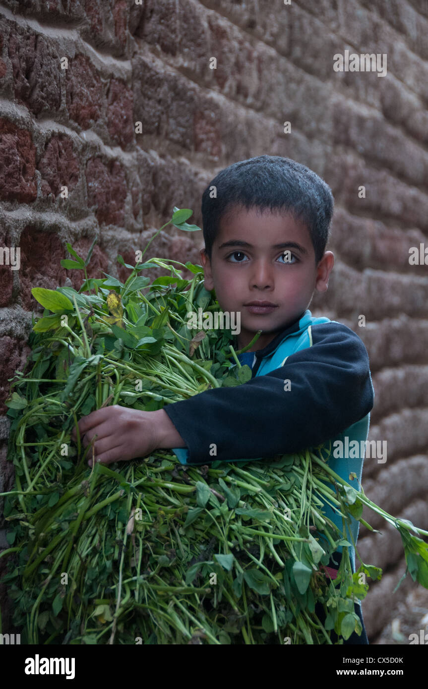 Bambino con colture Asyut Egitto Foto Stock