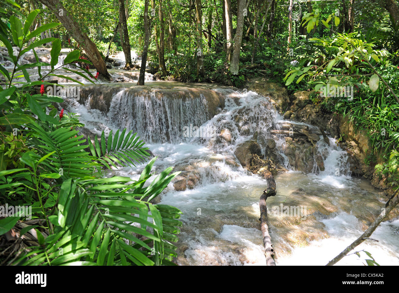 Cascate del Fiume Dunn a Ocho Rios Giamaica Foto stock - Alamy