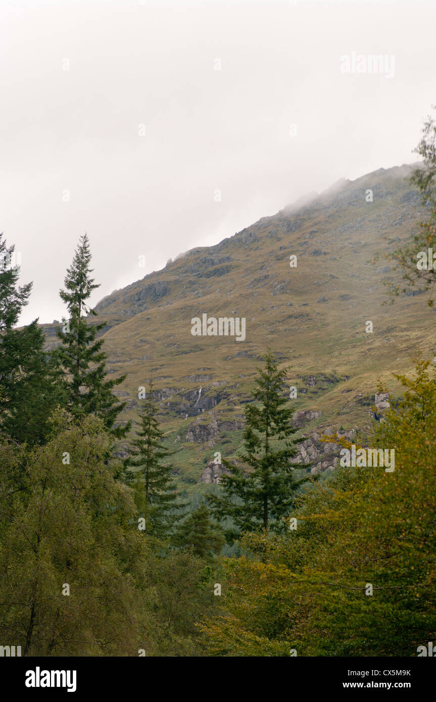 Argyll Forest Park Argyll and Bute Scozia Scotland Foto Stock