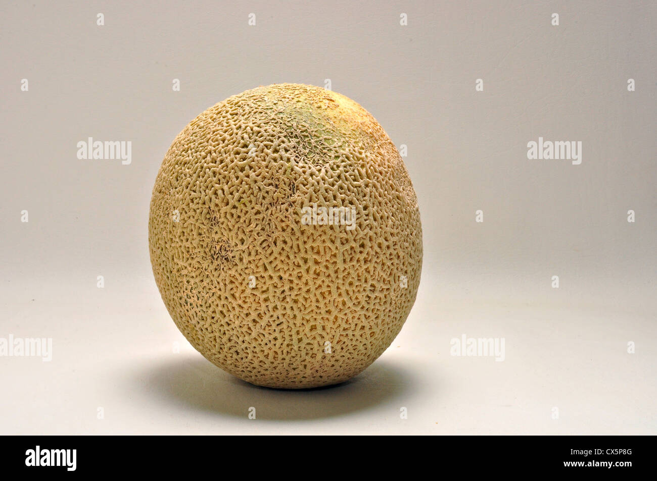 Un melone intero siede su uno sfondo bianco. Foto Stock